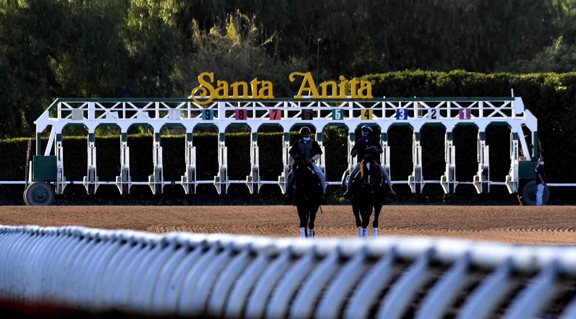 Santa Anita Consensus Picks for Saturday, February 14, 2026